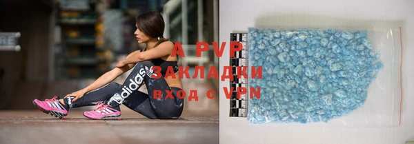 хмурый Аркадак