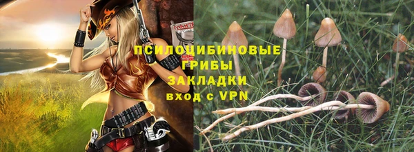 спайс Алексин