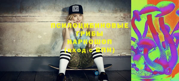 шишки Алексеевка