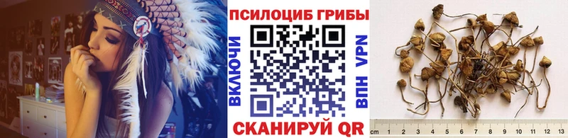 ссылка на мегу маркетплейс  Татарск  Галлюциногенные грибы MAGIC MUSHROOMS  нарко площадка как зайти  где продают  