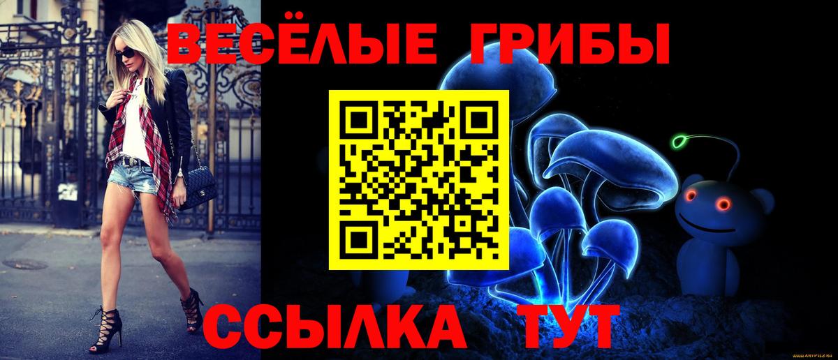 Татарск  Псилоцибиновые грибы ЛСД  Вход с VPN  Галлюциногенные грибы MAGIC MUSHROOMS 